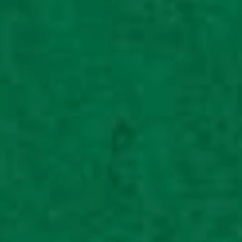 Glorex Filz-Zuschnitte 20 × 30 cm 0,8-1 mm Grasgrün