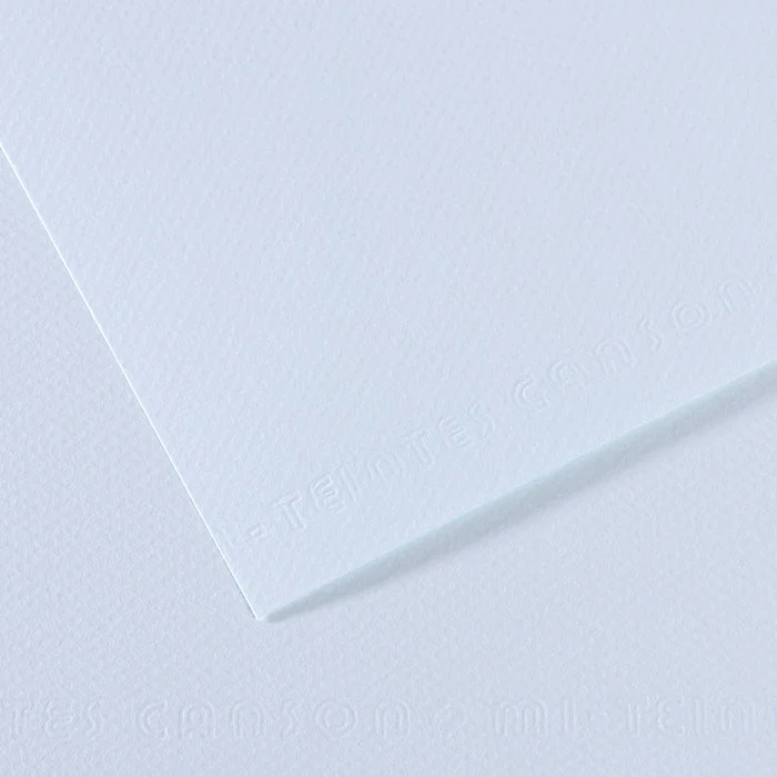 Canson Mi-Teintes papir za pastel 50 x 65 cm 160 g 25 listov
