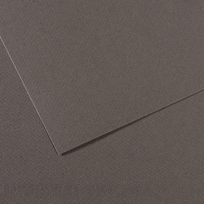 Canson Mi-Teintes papir za pastel 50 x 65 cm 160 g 25 listov