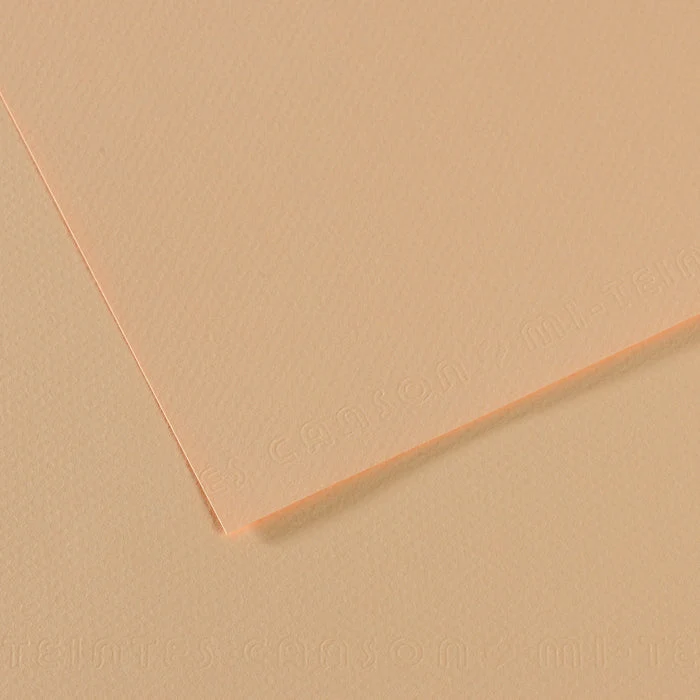 Canson Mi-Teintes Pastellpapier 50 x 65 cm 160 g 25 Blatt