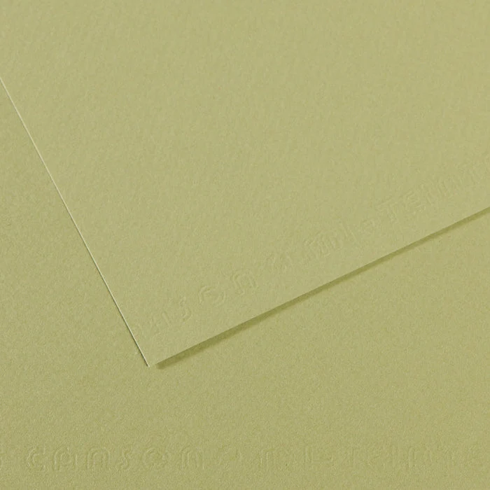Canson Mi-Teintes Pastellpapier 50 x 65 cm 160 g 25 Blatt
