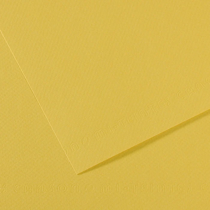 Canson Mi-Teintes carta per pastello 50 x 65 cm 160 g 25 fg