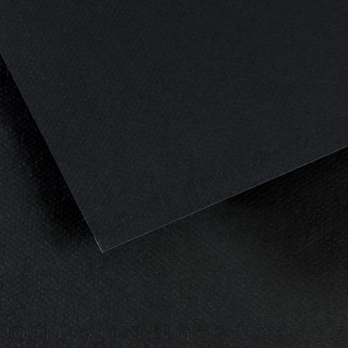 Canson Mi-Teintes carta per pastello 50 x 65 cm 160 g 25 fg