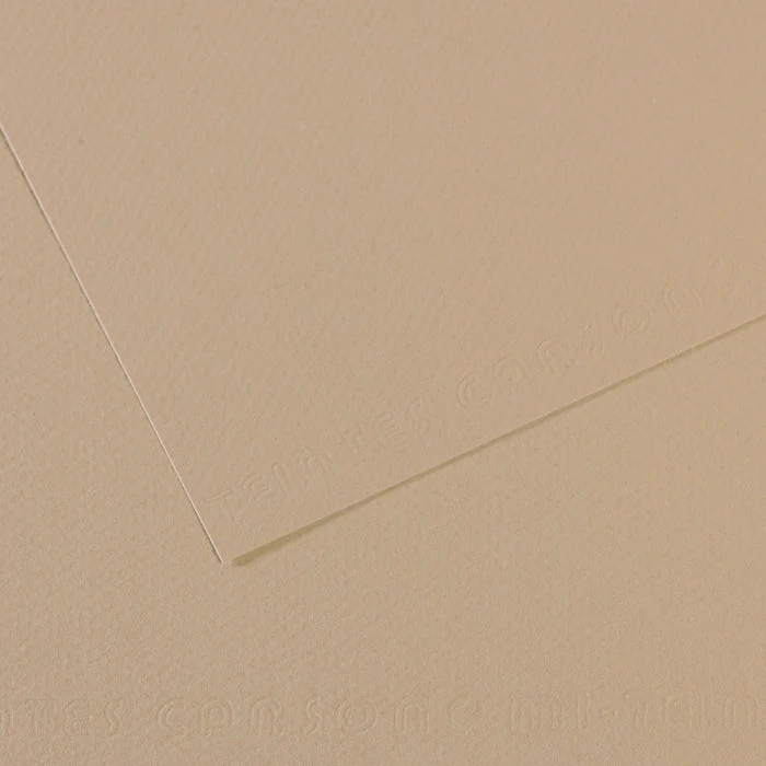 Canson Mi-Teintes carta per pastello 50 x 65 cm 160 g 25 fg