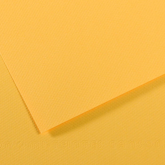 Canson Mi-Teintes carta per pastello 50 x 65 cm 160 g 25 fg