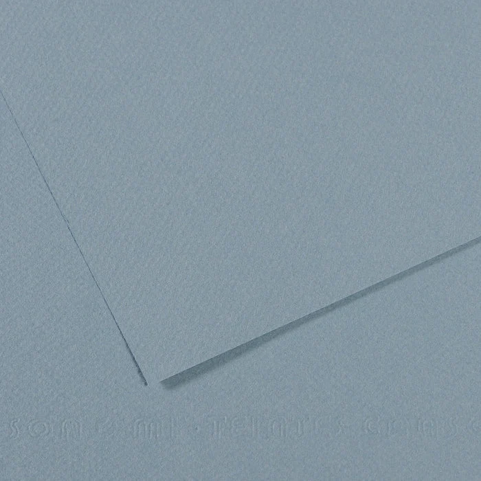 Canson Mi-Teintes carta per pastello 50 x 65 cm 160 g 25 fg