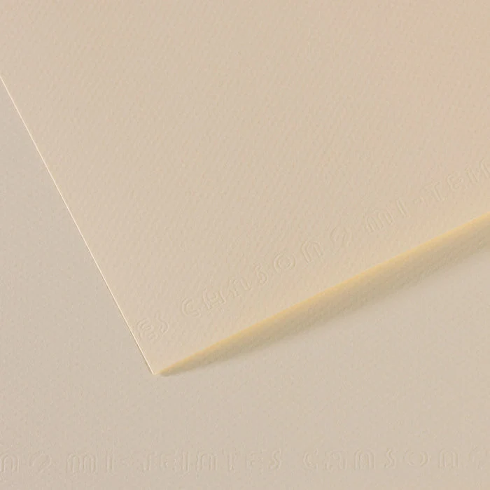 Canson Mi-Teintes carta per pastello 50 x 65 cm 160 g 25 fg