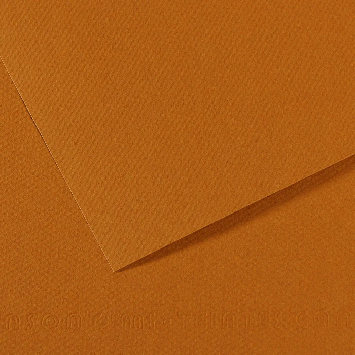Canson Mi-Teintes carta per pastello 50 x 65 cm 160 g 25 fg