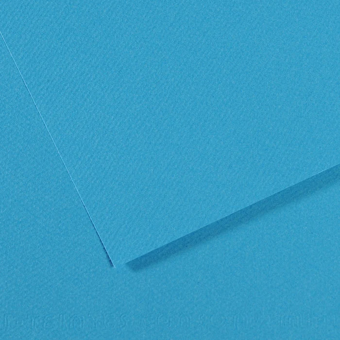 Canson Mi-Teintes carta per pastello 50 x 65 cm 160 g 25 fg