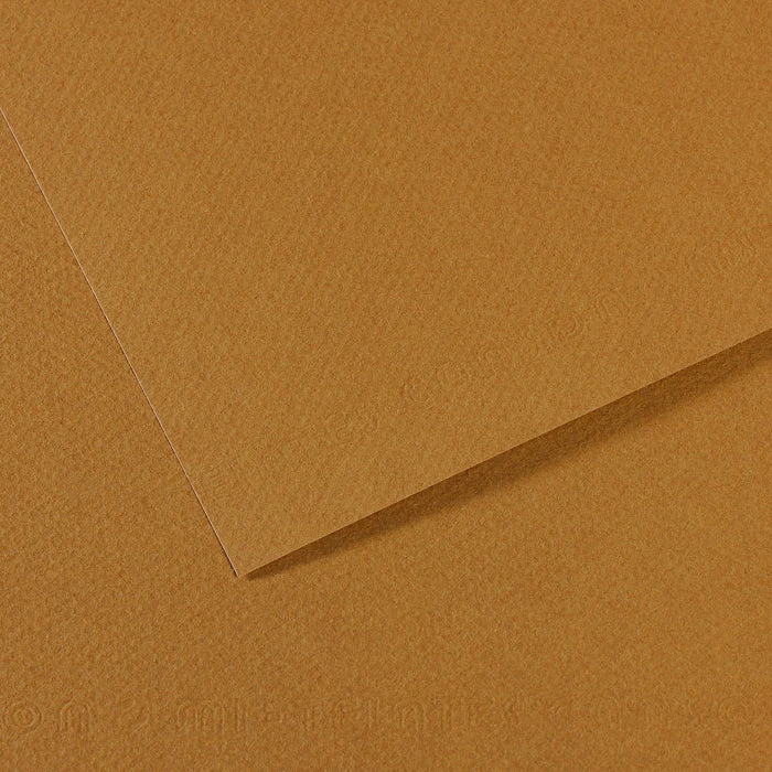 Canson Mi-Teintes хартия за пастел 50 x 65 см 160 g 25 листа