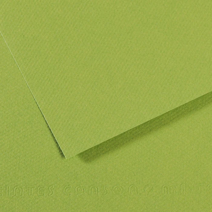 Canson Mi-Teintes papir za pastel 50 x 65 cm 160 g 25L