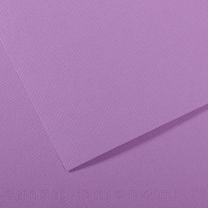 Canson Mi-Teintes papier na pastel 50 x 65 cm 160 g 25H