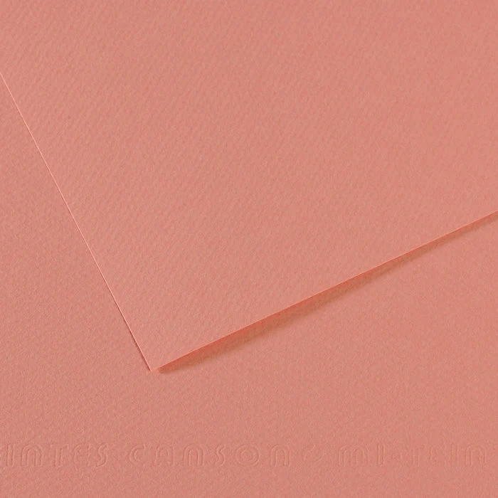 Canson Mi-Teintes papier na pastel 50 x 65 cm 160 g 25H
