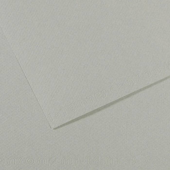 Canson Mi-Teintes papier na pastel 50 x 65 cm 160 g 25H