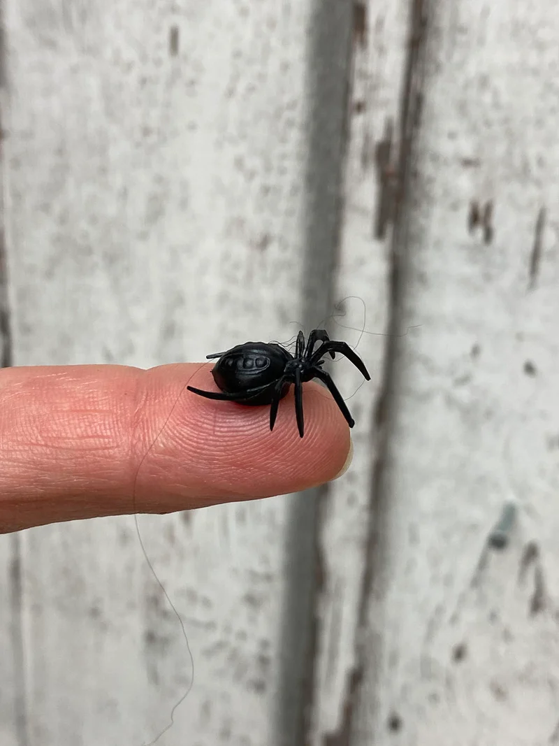 Spinnen 2cm