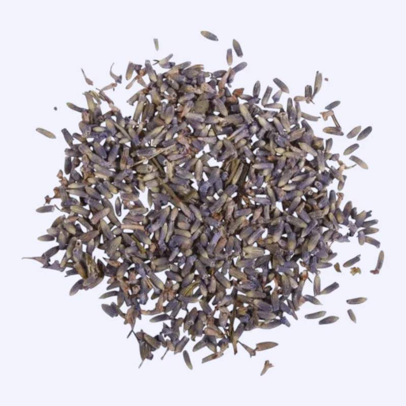 Rayher Lavendel, 5 g