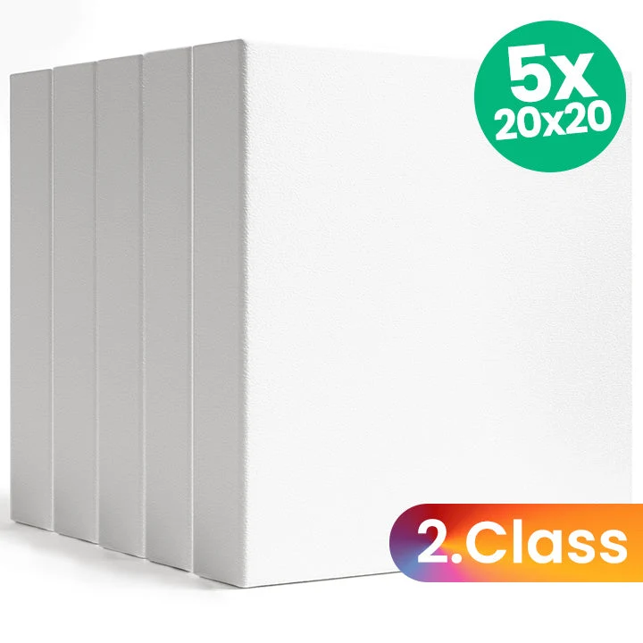 Set of 5 3D Canvases, 2nd Quality, 20x20 cm