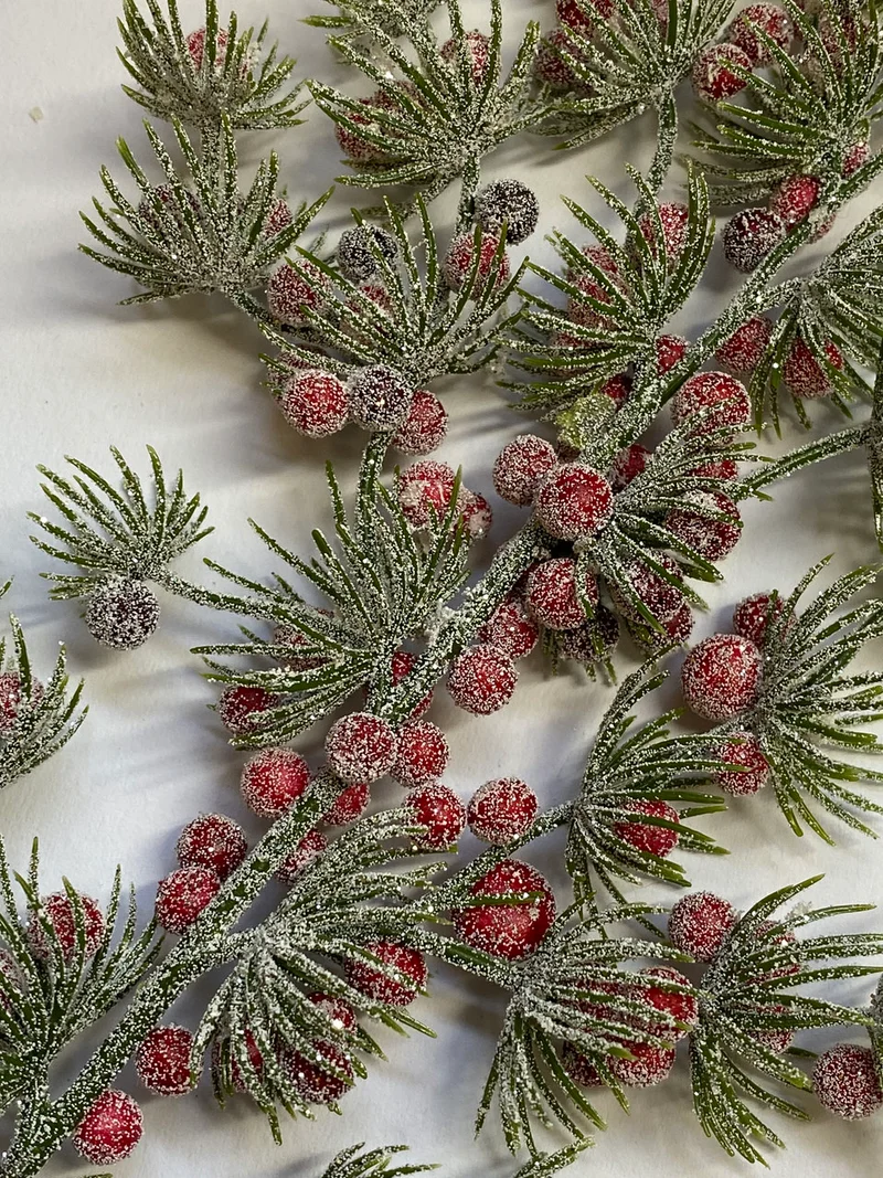 Lärchenzweig mit Beeren
