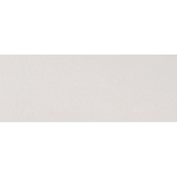 Canson - Ingres Pastel Paper - 50 x 65cm 100gsm - White