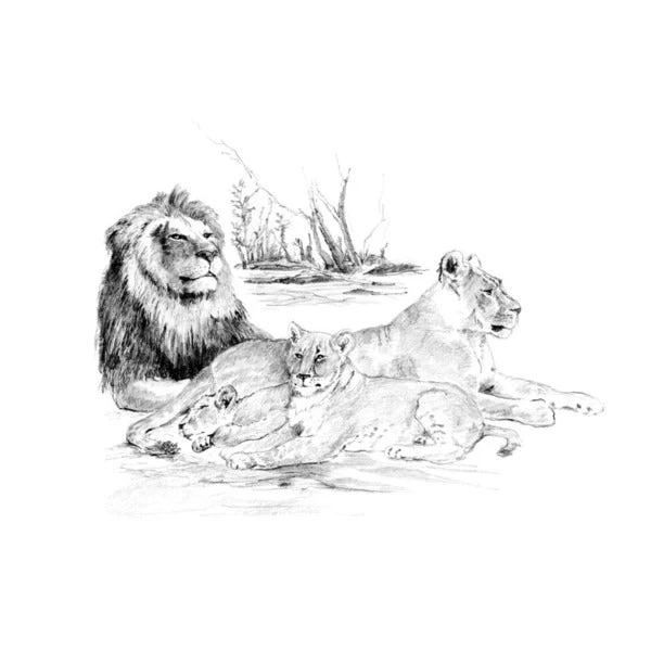 Royal & Langnickel Sketching Set | Choose a Variant