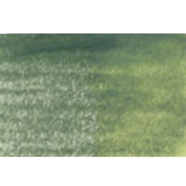 Derwent - Inktense Block - Fern