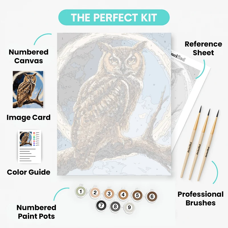 Majestic Owl - Paint by Numbers Kit