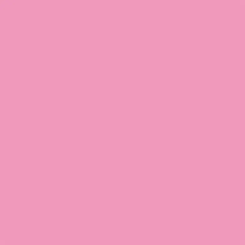 Winsor & Newton - Promarker Brush - Rose Pink - BrushMarker