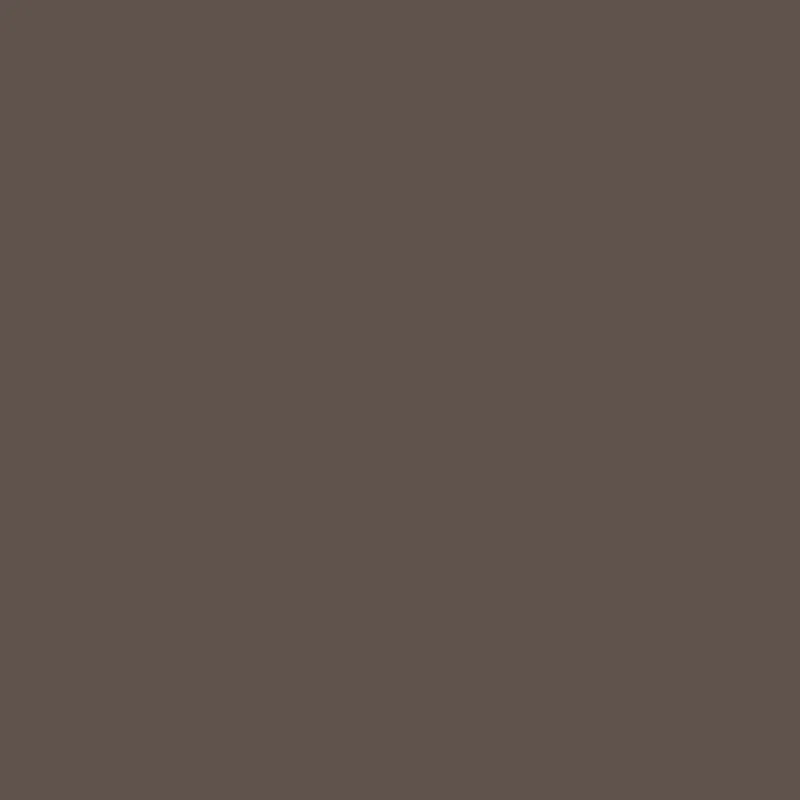 Winsor & Newton - Promarker Brush - Warm Grey 5 - BrushMarker