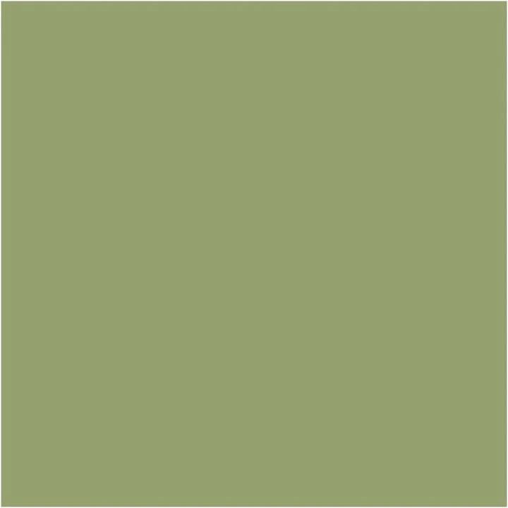 Pentart Chalky Decorative Chalk Paint, 100 ml