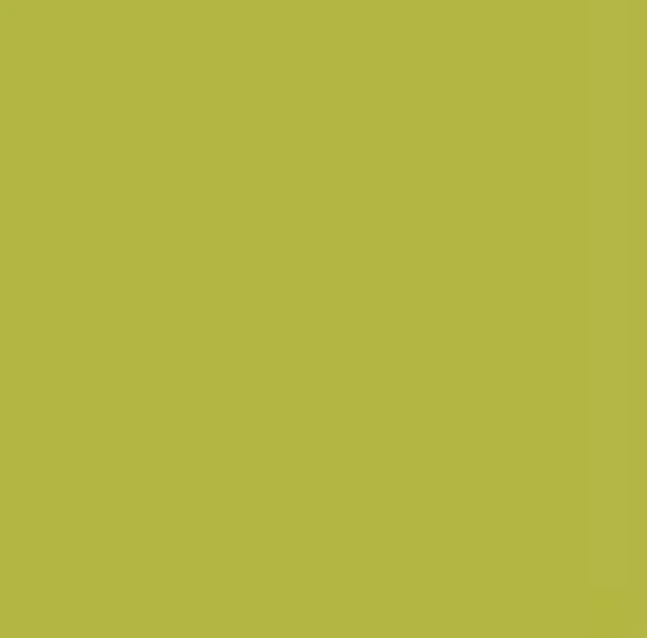 Pentart Chalky Decorative Chalk Paint, 100 ml
