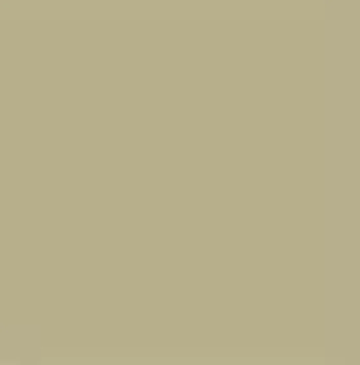 Pentart Chalky Decorative Chalk Paint, 100 ml