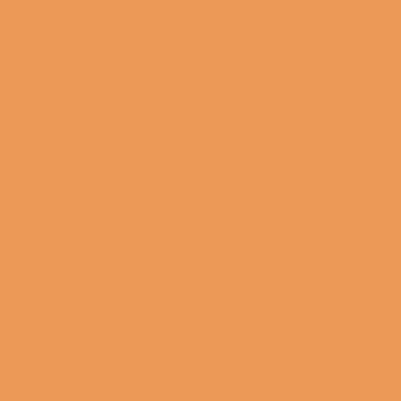 Winsor & Newton - ProMarker - Ginger O136