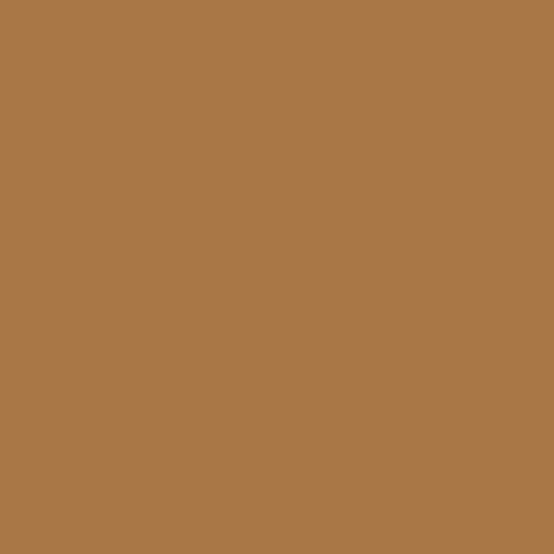 Winsor & Newton - Promarker Brush - Cocoa - BrushMarker