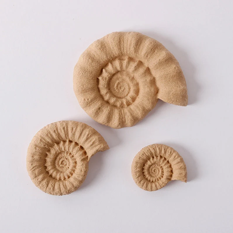 Ohybné drevené dekorácie Pentart Mušle 6,5 x 5,5 cm - 3 ks