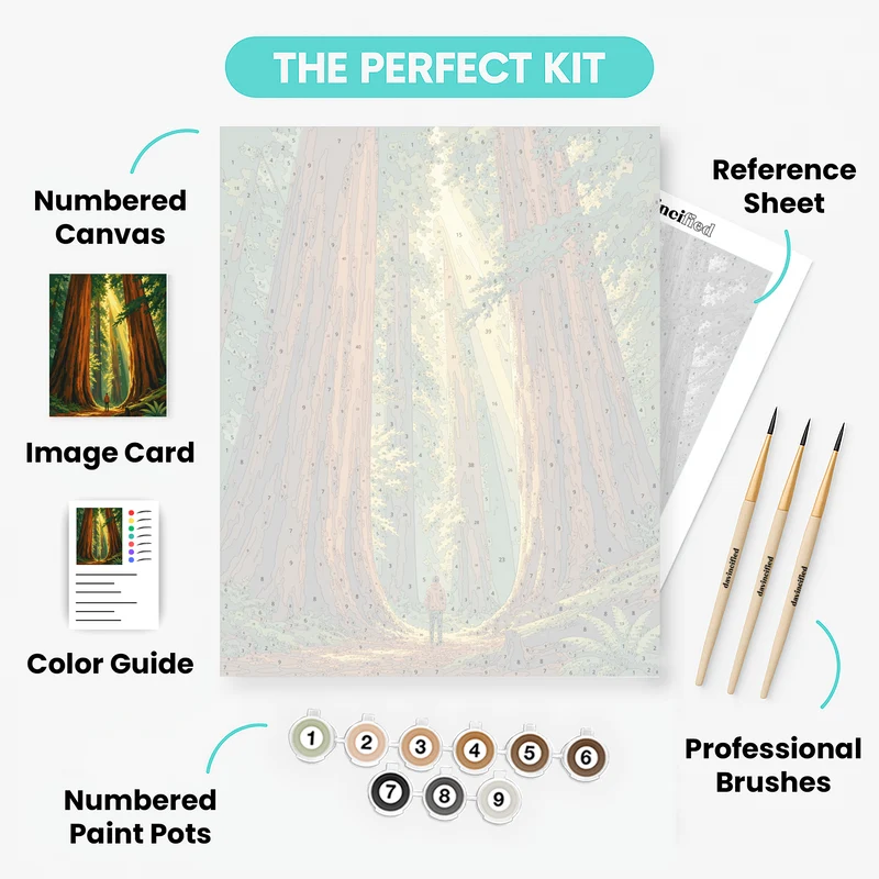 Redwood Forest Giant Trees - Paint by Numbers Kit