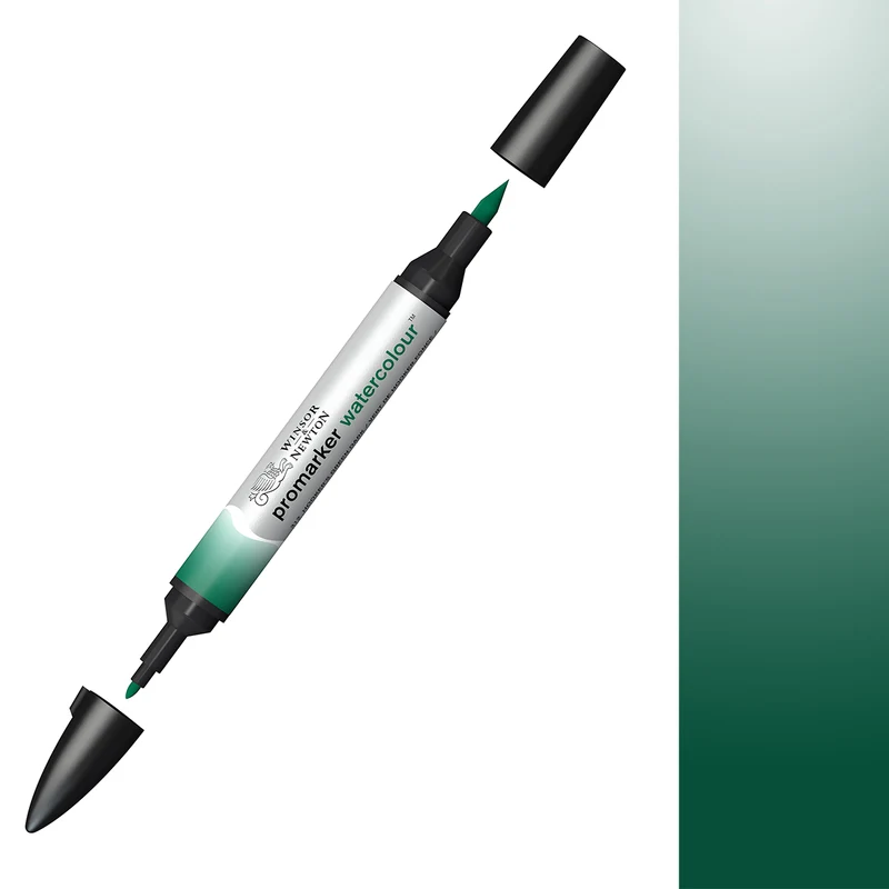 Winsor & Newton - Promarker Watercolour - Hookers Green Dark 312