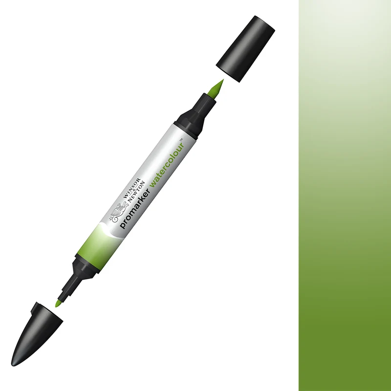 Winsor & Newton - Promarker Watercolour - Sap Green 599
