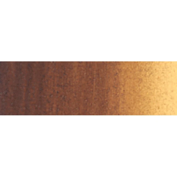 Winsor and Newton - Winton Oil Colour - 200ml - Vandyke Brown (41)