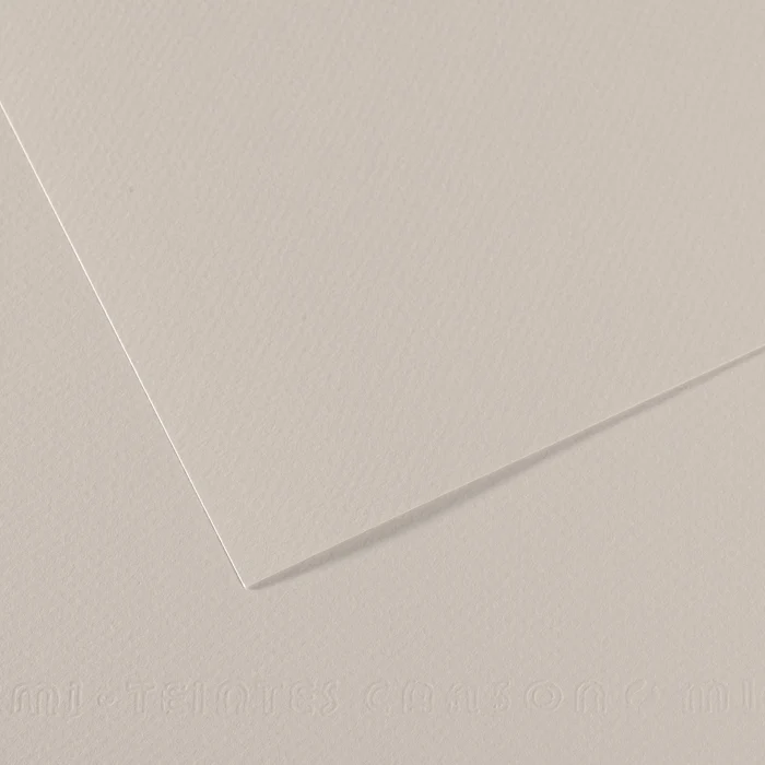 Canson Mi-Teintes carta per pastello A4 160 g/m² 25 fogli