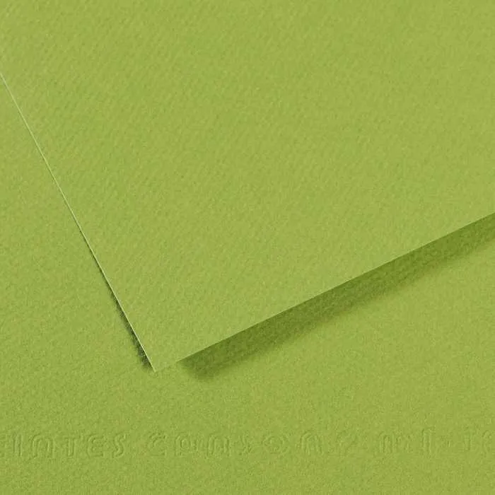 Canson Mi-Teintes carta per pastello A4 160 g/m² 25 fogli