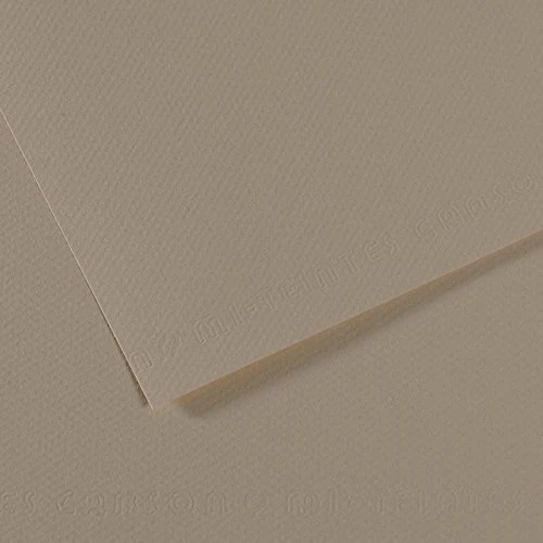 Canson Mi-Teintes carta per pastello A4 160 g/m² 25 fogli