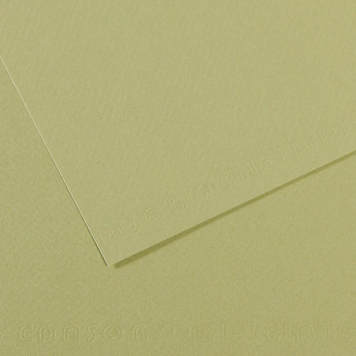 Canson Mi-Teintes papir za pastel A4 160 g/m² 25L