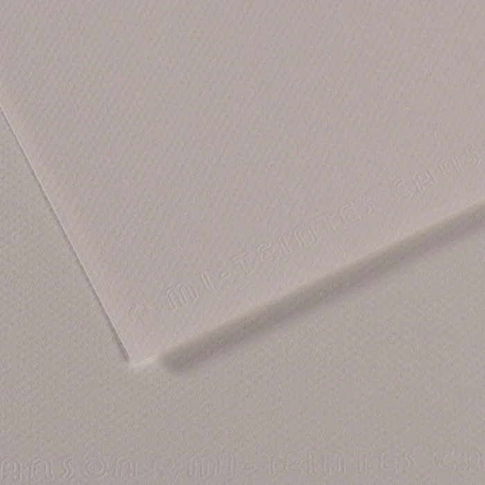 Canson Mi-Teintes papier na pastel A4 160 g/m² 25H