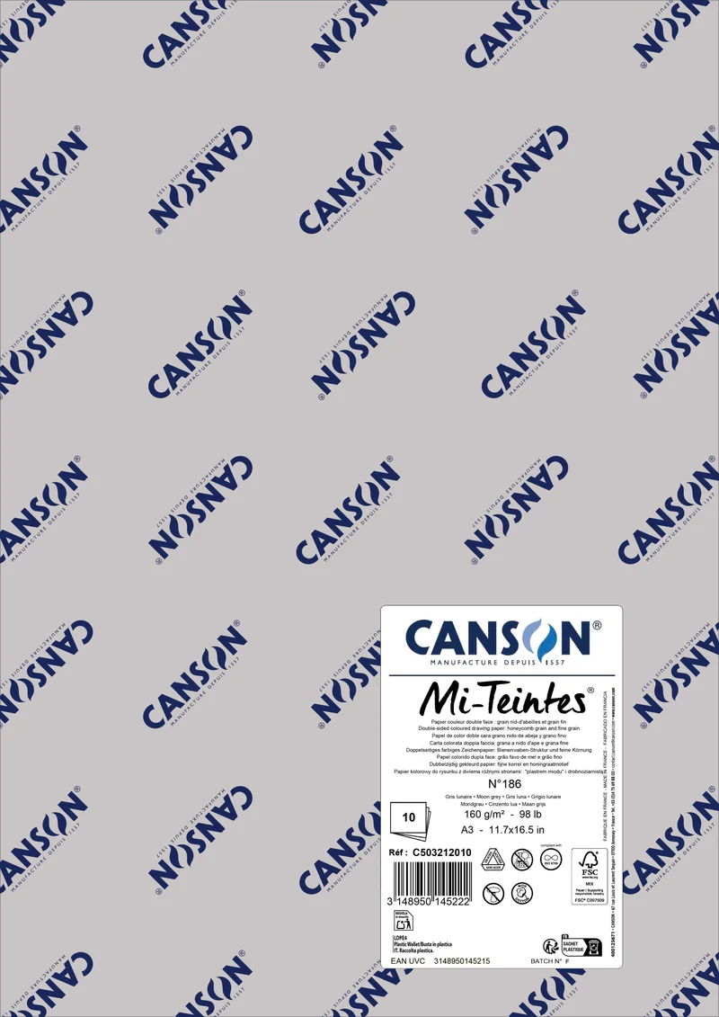 Papir za pastel Canson Mi-Teintes A3 160 g - 10 listov