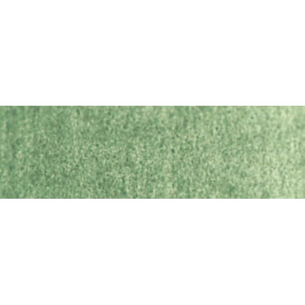 Winsor and Newton - Professional Artists' Watercolour - 14ml - Terre Verte