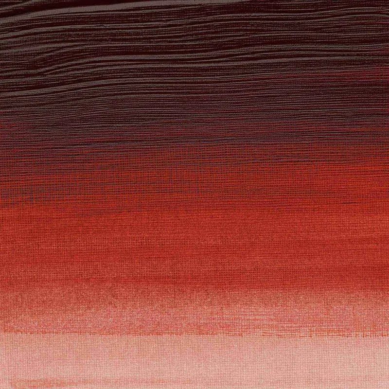 Winsor and Newton - Professional Artists' Acrylic Colour - 60ml - Quinacridone Burnt Orange