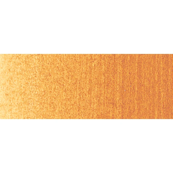Winsor and Newton - Professional Artists' Acrylic Colour - 200ml - Raw Sienna