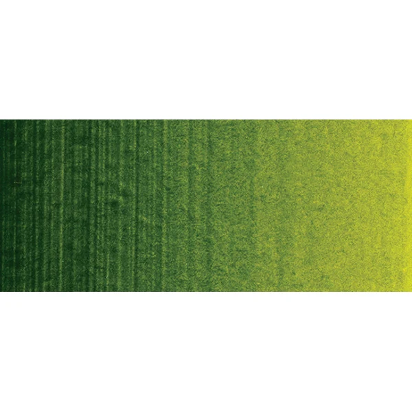 Winsor and Newton - Professional Artists' Acrylic Colour - 60ml - Permanent Sap Green