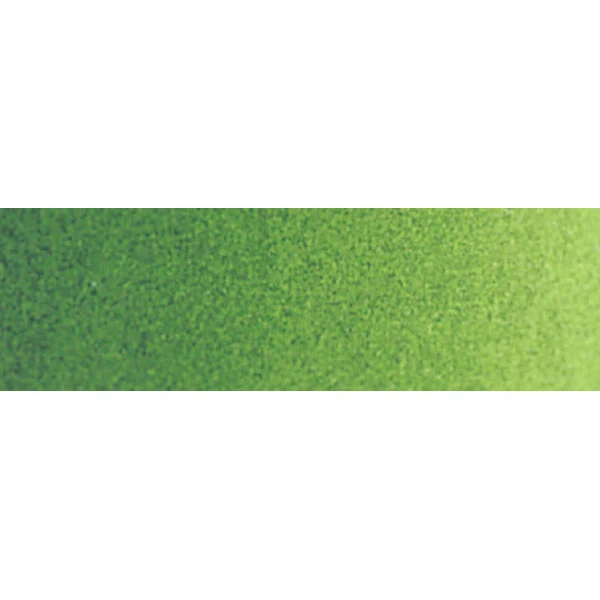 Winsor and Newton - Professional Artists' Watercolour - 14ml - Permanent Sap Green
