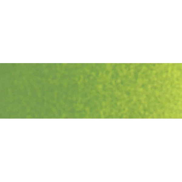 Winsor and Newton - Cotman Watercolour Half Pan - Sap Green